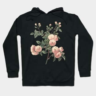 Rose Flower Vintage Botanical Illustration Hoodie